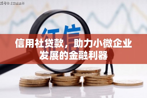 宁城信用社贷款，助力小微企业发展的金融利器