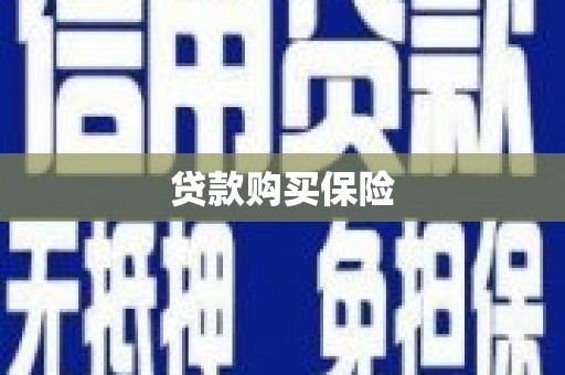 平远贷款购买保险