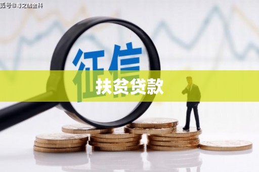吴忠扶贫贷款