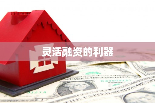 新泰灵活融资的利器