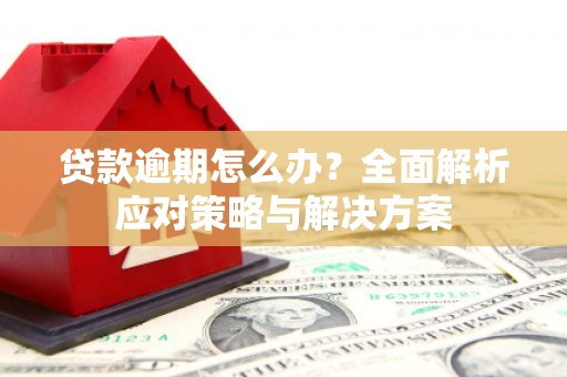 迁安贷款逾期怎么办？全面解析应对策略与解决方案
