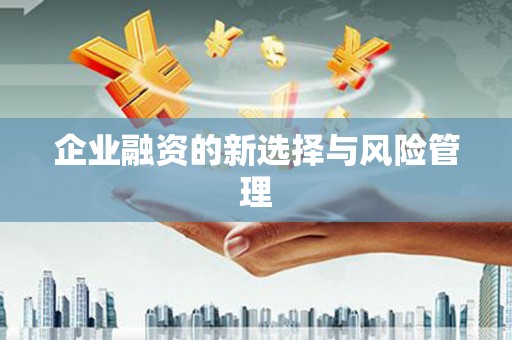 双鸭山企业融资的新选择与风险管理