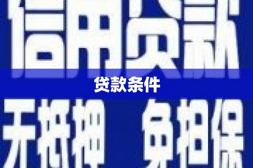 西和贷款条件