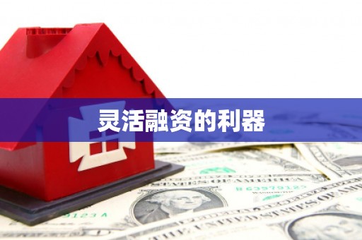 慈利灵活融资的利器