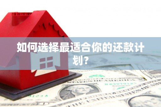 工布江达如何选择最适合你的还款计划？