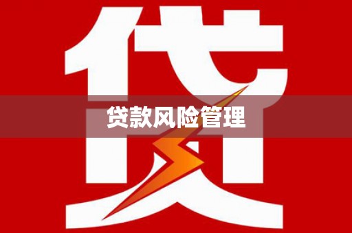 伊吾贷款风险管理