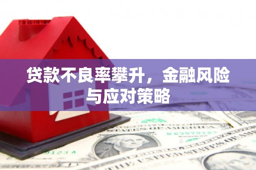 璧山贷款不良率攀升，金融风险与应对策略